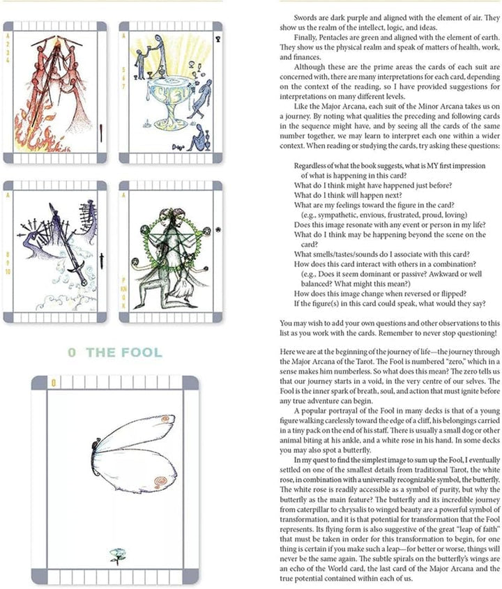 The Transparent Tarot, with Deck and Guidebook Box Set & Card Meanings, Classic Tarot Learning Deck Fortune Telling Game with Meanings on Them for Beginner