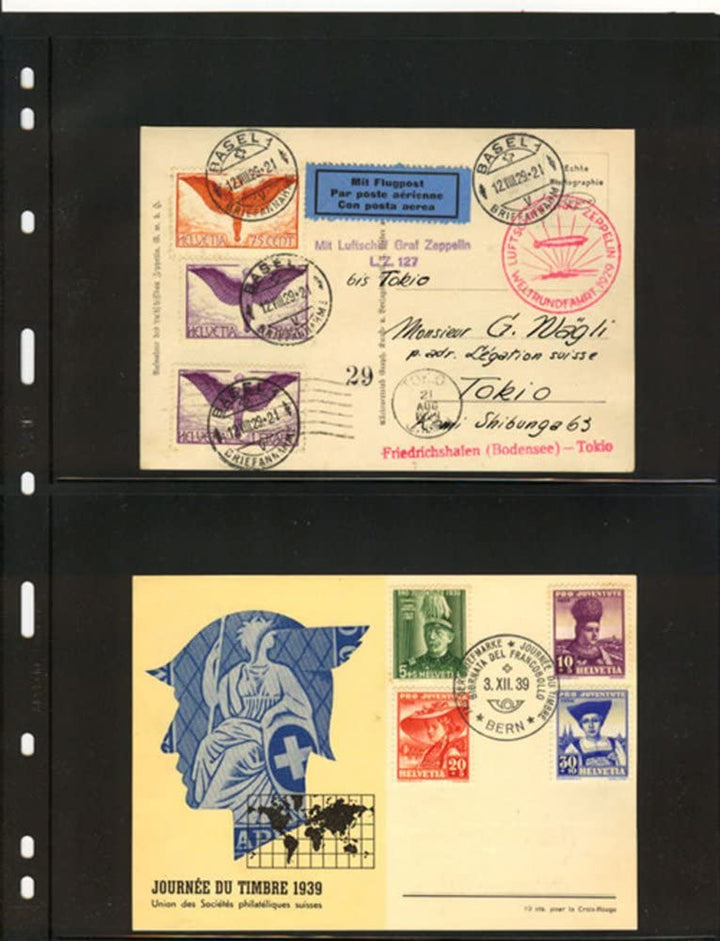 25  VARIO 2S Pages - Professional Pack