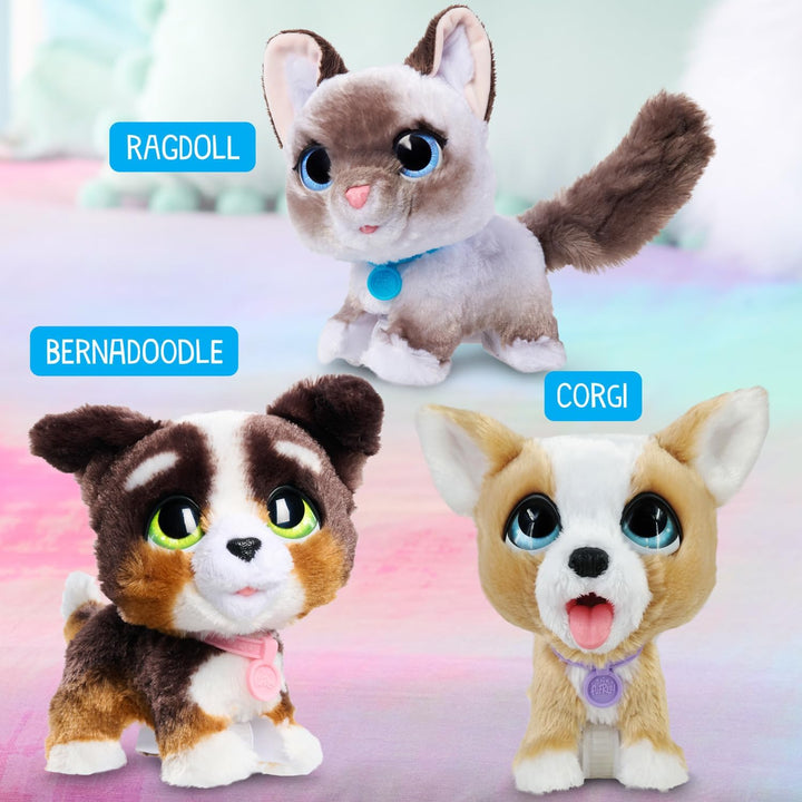 Furreal Newborns Kitty Interactive Pet, Small Plush Stuffed Animal Cat with Sounds and Movement, Faux Fur, Kids Toys for Ages 4 up by