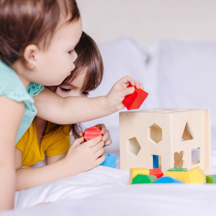 Shape Sorting Cube - Classic Wooden Toy with 12 Shapes