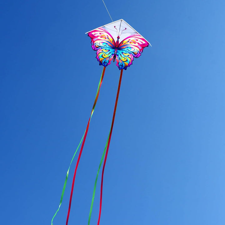 2 Pack Butterfly Kite,For Kids and Adults,Easy to Fly,Excellent Fabric and Structure Design,The Pictures Are Beautiful in High Definition,Suitable for Beginners(31X22)