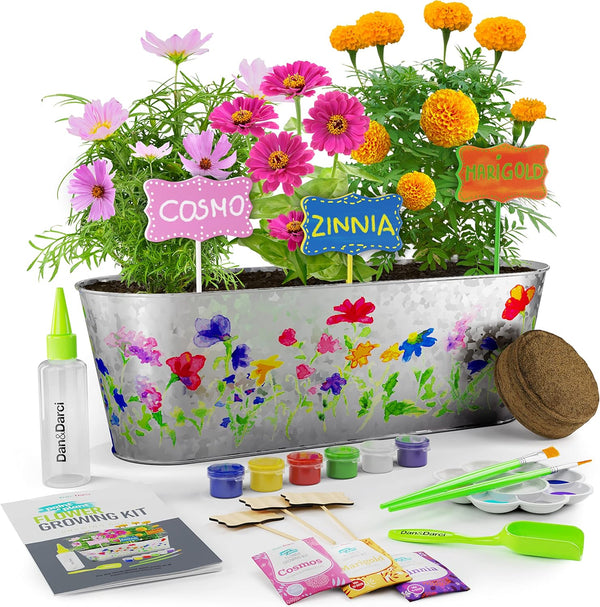 Paint & Plant Flower Growing Kit for Kids - Gift Ideas Age 5 6 7 8-12 Year Old Girl - Birthday Crafts Gifts for Girls & Boys, Fun Children Gardening Kits, Art Projects for Ages 5-12 Years