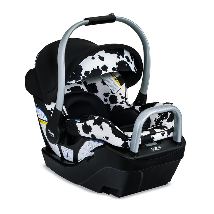 Willow S Infant Car Seat with Alpine Base, Clicktight Technology, Rear Facing Car Seat with Rightsize System, Graphite Onyx
