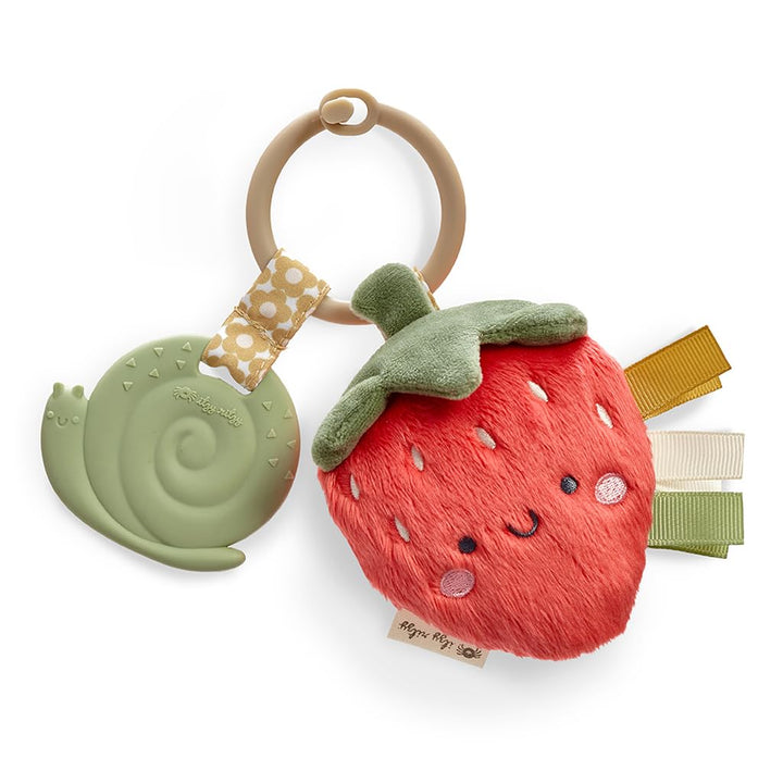 Infant Toy & Teether - Itzy Pal Baby Teething Toy Includes Lovey, Crinkle Sound, Textured Ribbons & Silicone Teether for Newborn (Avocado)