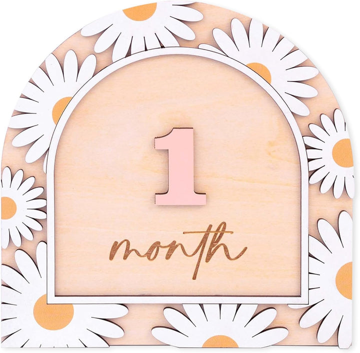 Wooden 3D Baby Monthly Milestone Cards Monthly Milestone Discs Newborn Photography Props Baby Announcement Sign Baby (BBL1)
