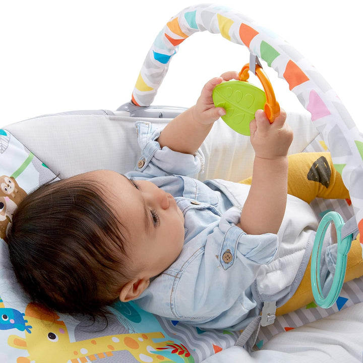 Baby Bouncer Soothing Vibrations Infant Seat - Removable -Toy Bar, Nonslip Feet, 0-6 Months up to 20 Lbs (Safari Fun)