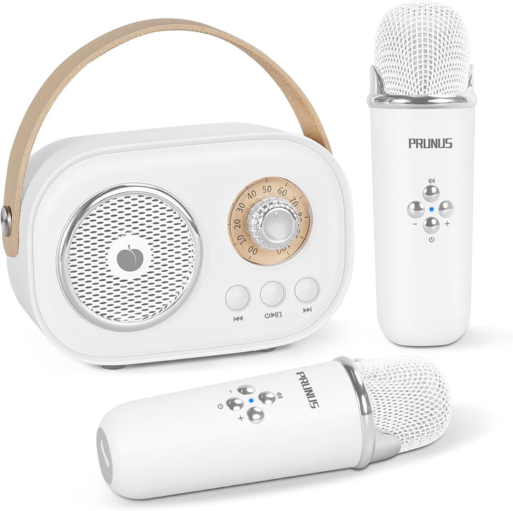 C20 Mini Karaoke Machine Portable Bluetooth Speaker with Wireless Microphone 6 Sound Modes for Adults&Kids Birthday Home Farmily Friends Party Gifts for Girls Boys Friends-Pink