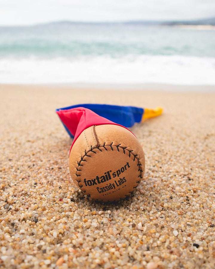 Sport - the Original 90S Throw and Catch Outdoor Game (Ages 8+)