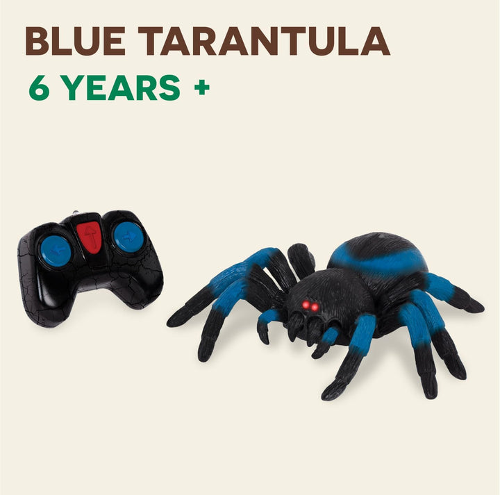 – Remote Control Tarantula for Kids with LED Eyes – Realistic Spider Toy with Moving Legs, Fast Speed & 360° Spin – Blue RC Animal for Boys & Girls 6+ Years