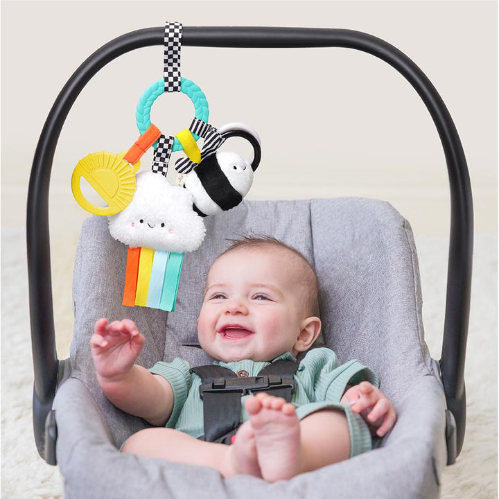 Teething Activity Toy - Bitzy Busy Ring Infant Teething Toy Features Braided Ring & Dangling Toys, Includes Teether, Ribbons, Crinkle Sound & Jingle Bell - 0 Months & up (High Contrast)