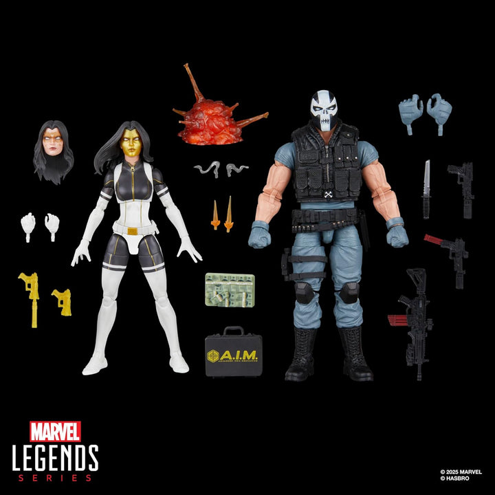 Legends Series Madame Masque & Crossbones,  Super-Villains Comics Collectible 2-Pack, 6-Inch Action Figures (Amazon Exclusive)