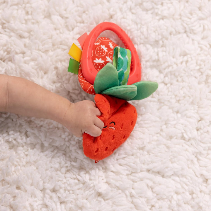 Strawberry Take along Toy