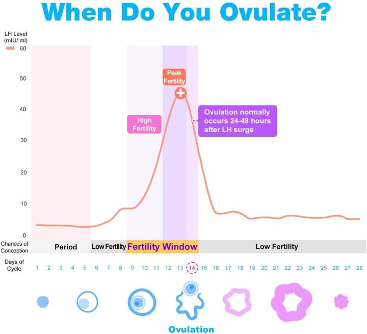 Ovulation Test Predictor Kit : Accurate Fertility Test for Women (Width of 5Mm), Fertility Monitor Test Strips, 50 LH Strips with 50 Urine Cups