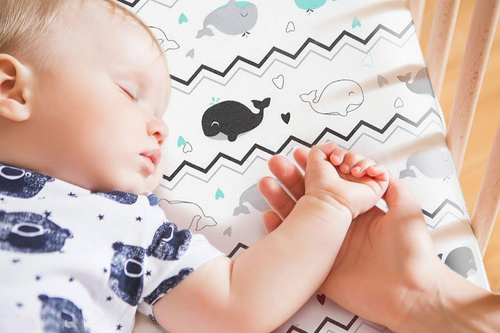 Pack N Play Sheets,  2 Pack Mini Crib Sheets,Stretchy Portable Fitted Playard Sheet Set, Convertible Playard Mattress Cover,Ultra Soft Breathable Material,Elephant Whale