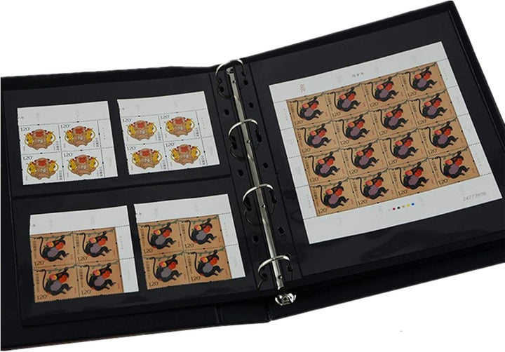 Vario Stamp Pages for Stamp Album Binder, 10 Sheet (20 Page) 1 Row Pages for Stamp Collectors, Professional Pack (1 Row)