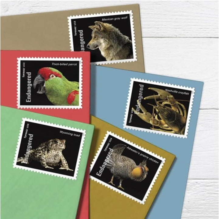 Endangered Species (Sheet of 20) Postage Forever Stamps US Postal First Class Animal Bird Fish Duck Wildlife Habitat Announcement Celebrate Anniversary Wedding 2023 Scott #5800