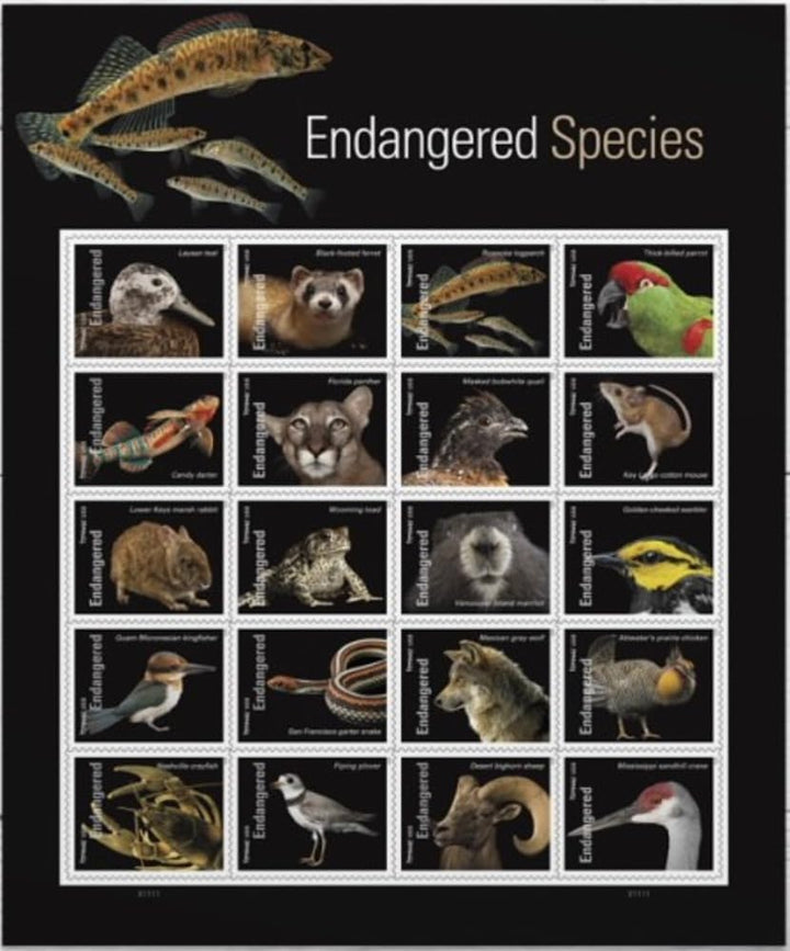 Endangered Species (Sheet of 20) Postage Forever Stamps US Postal First Class Animal Bird Fish Duck Wildlife Habitat Announcement Celebrate Anniversary Wedding 2023 Scott #5800