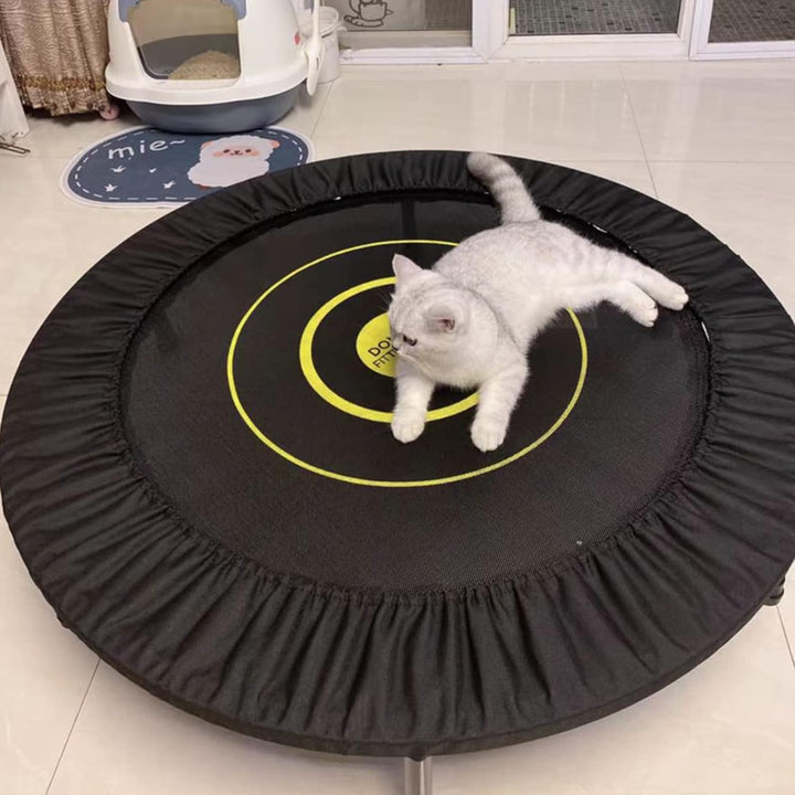 Mini Trampoline Spring Cover 36 38 40 48 54 Inch Small Trampoline Replacement Pad 600D Thickened Oxford Cloth Easy to Installation Kid Trampoline Safety Pad Parts, for Indoor Fitness