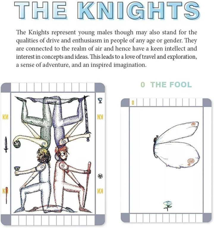 The Transparent Tarot, with Deck and Guidebook Box Set & Card Meanings, Classic Tarot Learning Deck Fortune Telling Game with Meanings on Them for Beginner