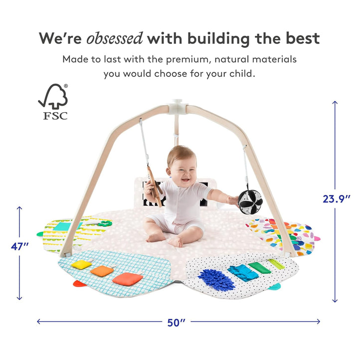 | the Play Gym | Award Winning for Baby , Stage-Based Developmental Activity Gym & Play Mat for Baby to Toddler