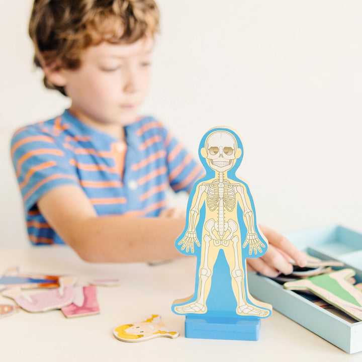 Magnetic Human Body Anatomy Play Set with 24 Magnetic Pieces and Storage Tray