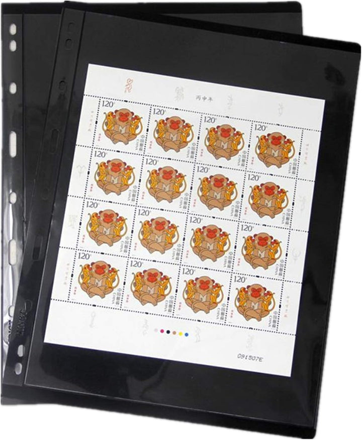 Vario Stamp Pages for Stamp Album Binder, 10 Sheet (20 Page) 1 Row Pages for Stamp Collectors, Professional Pack (1 Row)