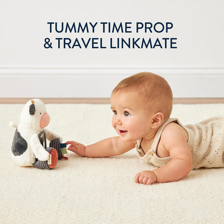 Sensory Tummy Time Toy Mirror - Features Crinkle & Jingle Sounds, Multiple Textures and Mirror for Self-Discovery, Infant Toy for Ages 0 Months and Up, Cow
