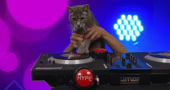 Hype Button | Hip Hop Air Horn Sound Effect Button (Batteries Included) Stocking Stuffer Back to School Classroom Teacher Office Desk Sales Marketing Gag Nut Funny Toy Live Streaming Gaming DJ Remix