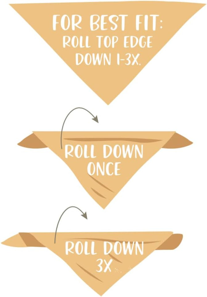 Dog Bandana Pregnancy Announcement Big Brother Baby Reveal Oatmeal Cream Minimal Neutral Color Announcement to Family (Large)