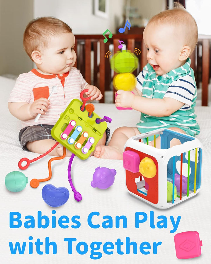 Montessori Toys for 1 Year Old Girls Boys, Baby Sorter Learning Sensory Activity Cube, 1 Year Old Girl Boy Birthday Gifts, Baby Toys 12+ Months