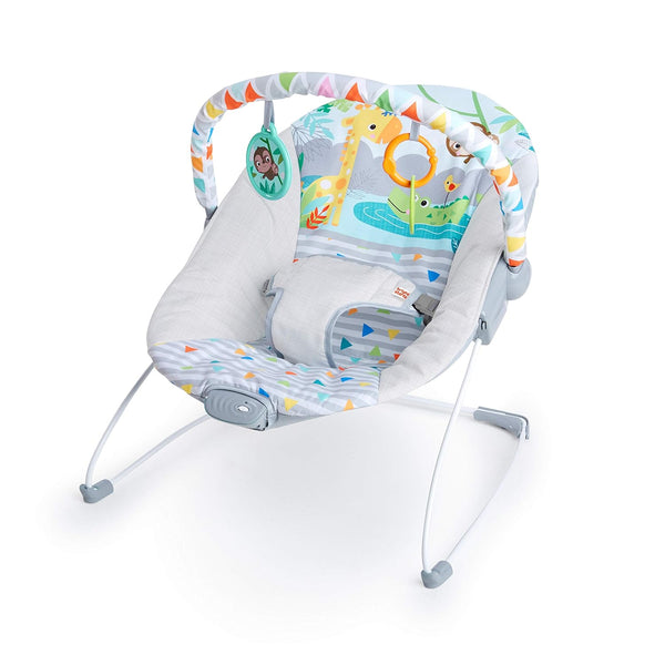 Baby Bouncer Soothing Vibrations Infant Seat - Removable -Toy Bar, Nonslip Feet, 0-6 Months up to 20 Lbs (Safari Fun)