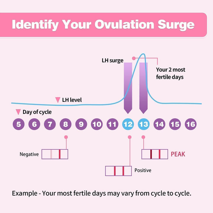 25 Count Ovulation Test Strips with Cups, Bulk Ovulation Test Strips for Women, Ovulation Predictor Kit, Accurate Fertility Tests for Home, Individually Wrapped 5Mm LH