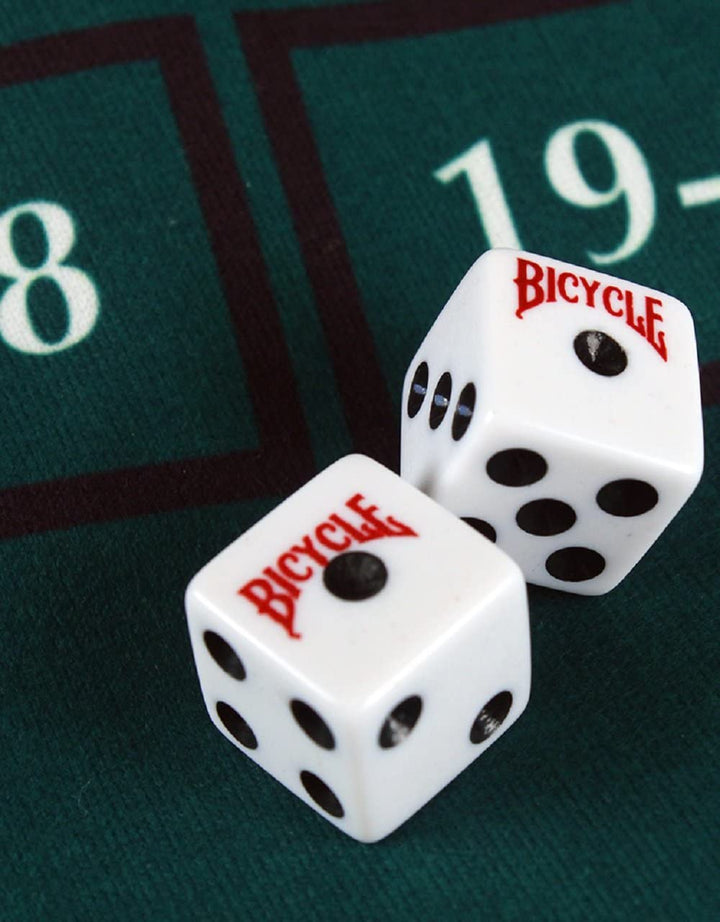 10 Count White 16 Mm D6 Playing Dice Set
