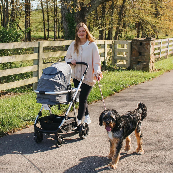 Meteor2 Baby Stroller 2-In-1 with Newborn Mode, Compatible with Infant Car Seat Adapter Included, Full-Size Bassinet Strollers for Family Outings