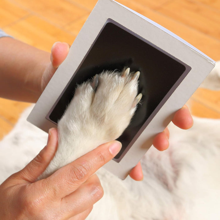Baby Handprint and Footprint Kit | Elegant White Frame with Inkless, Non-Toxic Pad | Newborn Keepsake for Baby or Dog Paw Prints
