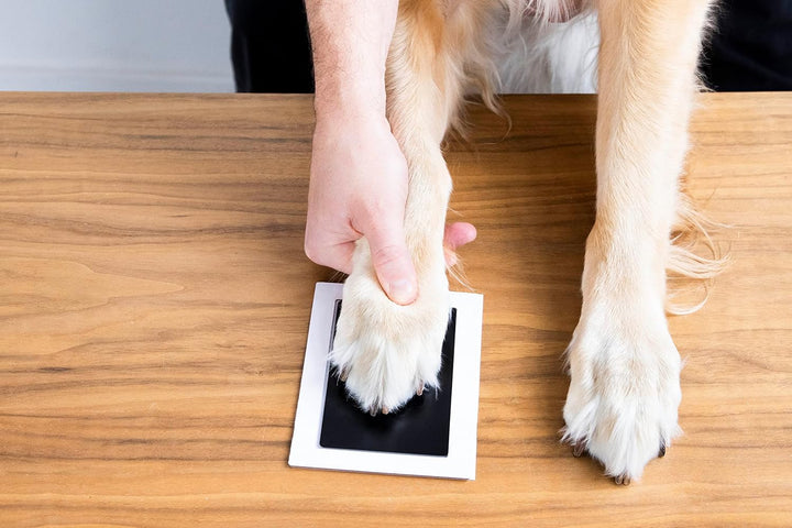 4-Pack Clean-Touch Ink Pad Kit, Mess-Free Inkless Hand and Footprint Kit, Baby Foot Printing Kit, Cat and Dog Paw Print Kit, Suitable for Babies and Pets