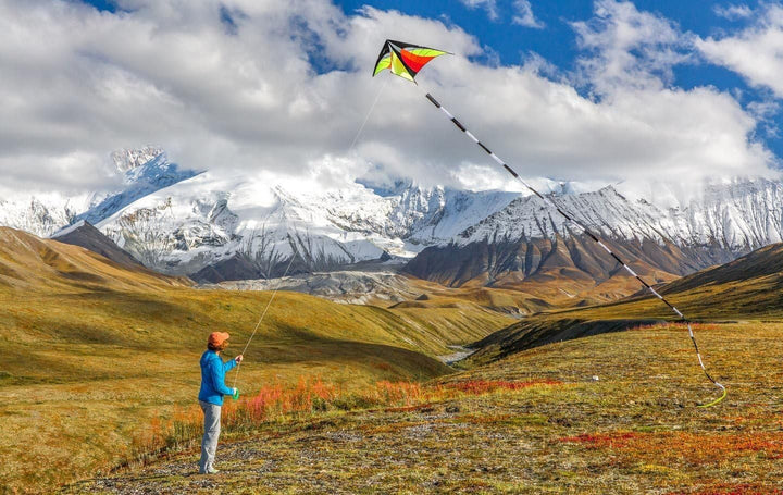 Prism Kite Tube Tail