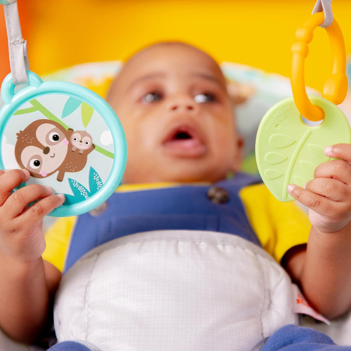 Baby Bouncer Soothing Vibrations Infant Seat - Removable -Toy Bar, Nonslip Feet, 0-6 Months up to 20 Lbs (Safari Fun)