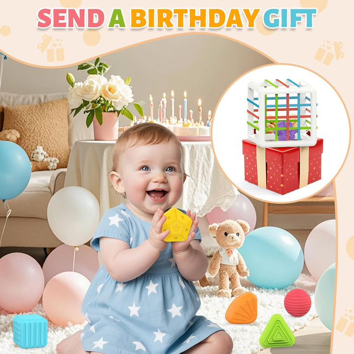 Montessori Toys for 1 Year Old, 6 Pc Multi Sensory Shape, Toddler Developmental Learning Birthday Gifts, Baby Toys 12 Month