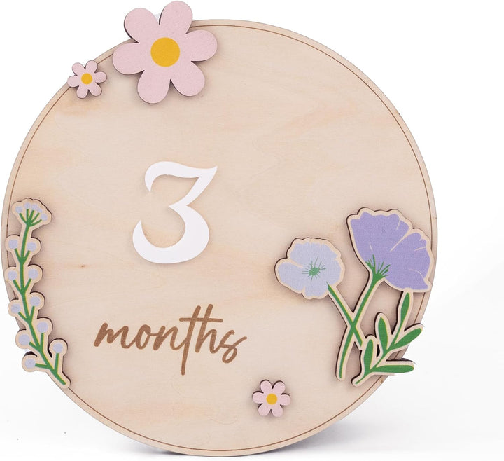 Wooden 3D Baby Monthly Milestone Cards Monthly Milestone Discs Newborn Photography Props Baby Announcement Sign Baby (BBL1)