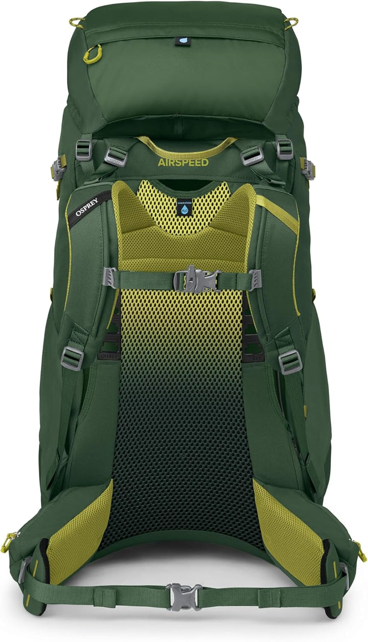 Ace 50L Kids' Backpacking Backpack, Green Canopy