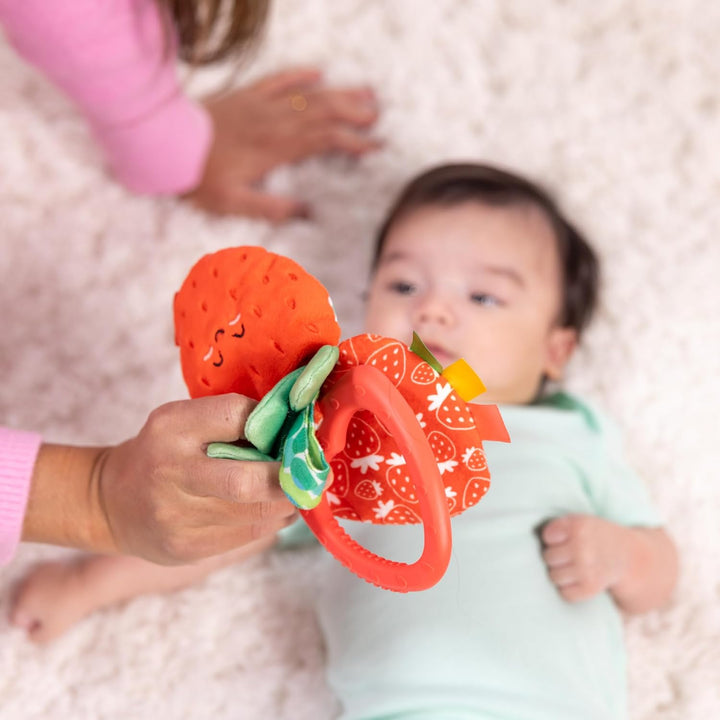 Strawberry Take along Toy