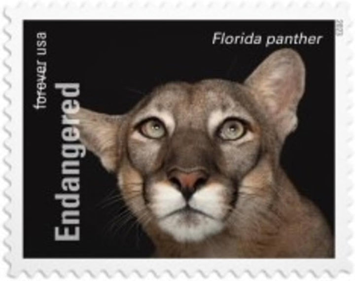 Endangered Species (Sheet of 20) Postage Forever Stamps US Postal First Class Animal Bird Fish Duck Wildlife Habitat Announcement Celebrate Anniversary Wedding 2023 Scott #5800