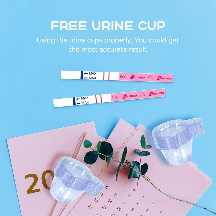 Pregnancy Tests with Cup,  Bulk Pregnancy Test Strips for Home Detection, over 99% Accuracy, Individually Wrapped, Extra-Wide 5Mm HCG Test Kit Comfortable Grip, 25 Count, Pruebas De Embaraz