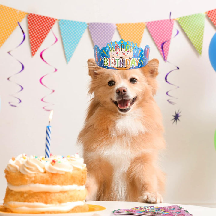 30 Pcs Birthday Crowns for Classroom Party Hats Birthday Hats for Kids Happy Birthday Hat Paper Crowns School Birthday Crown