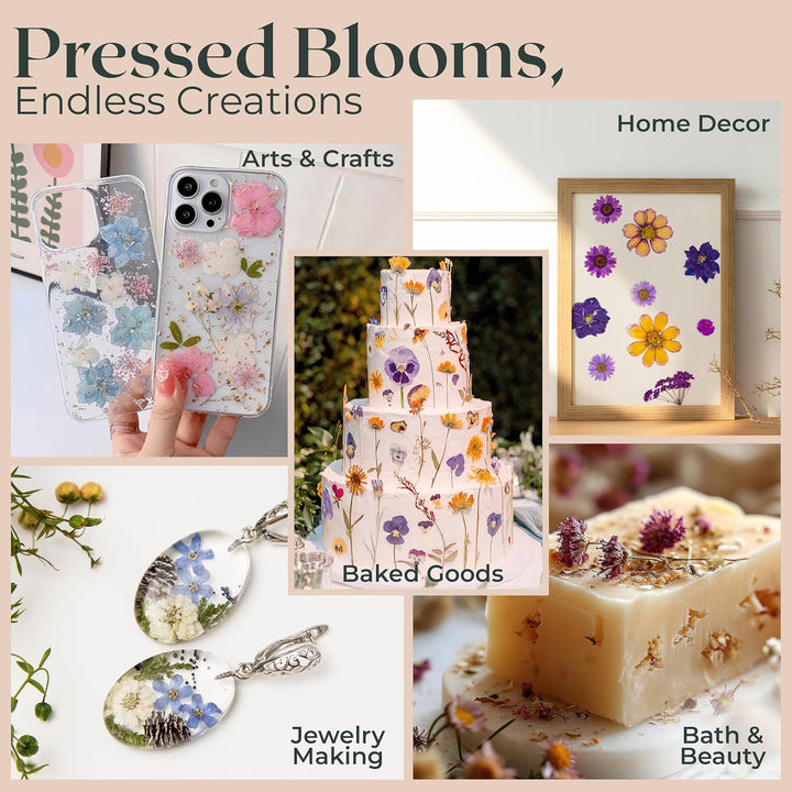 Extra Large Flower Press Kit | 11"X11" 10 Layers Wooden Pressing Boards, Tools & Bag | Crafting Kits for Adults & Kids | DIY Pressed Flower Plant Preservation Kit | Bouquet Preservation | Great Gift