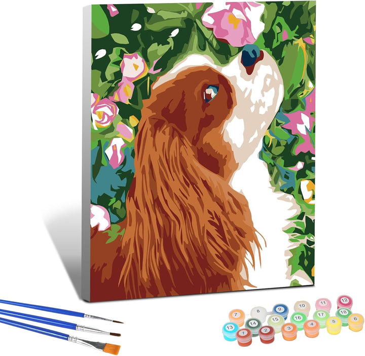 3 Pack Paint by Numbers for Kids Ages 8-12, Pre-Printed Acrylic Oil Painting, Includes (8X10, 8X9, 8X8 Inch) Framed Canvas with 30 Acrylic Paint Pots, 5 Brushes for Kids, Art Supplies for Kids 9-12