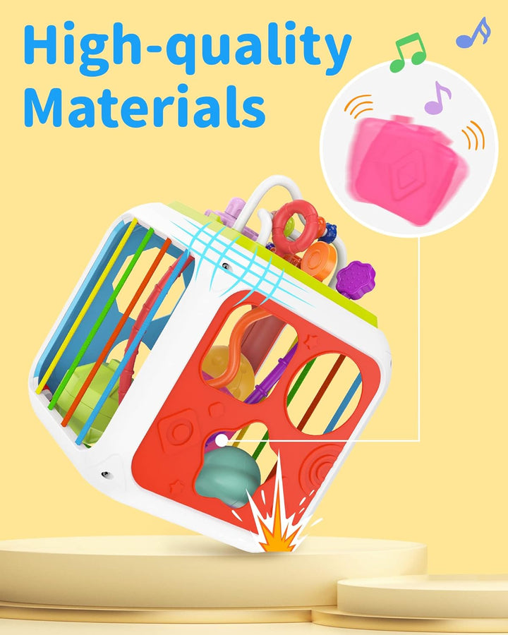 Montessori Toys for 1 Year Old Girls Boys, Baby Sorter Learning Sensory Activity Cube, 1 Year Old Girl Boy Birthday Gifts, Baby Toys 12+ Months